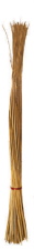 Lyra Coco Brooms: Short