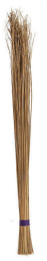 Lyra Coco Brooms: Premium