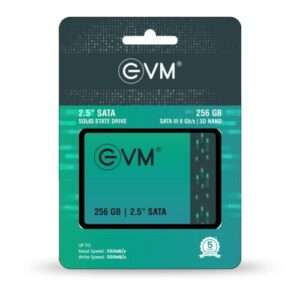 EVM 256GB 2.5" SATA III Internal Solid State Drive (SSD)