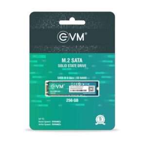 EVM 256GB M.2 2280 Internal Solid State Drive (SSD, SATA III 6Gb/s)